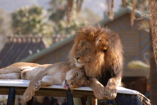 Чего ты ждешь от отношений. Ты всё время, что-то ждёшь.