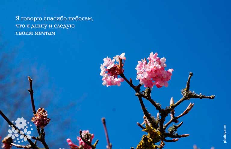 Цитаты и афоризмы про благодарность человеку