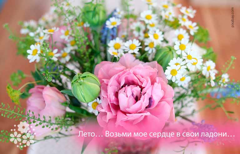 Цитаты и афоризмы про лето