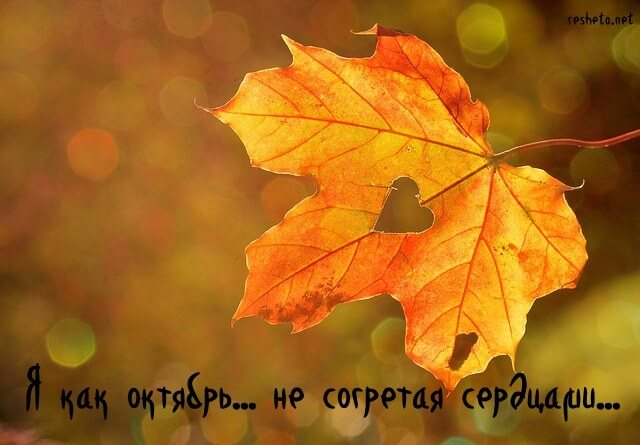 Цитаты про октябрь