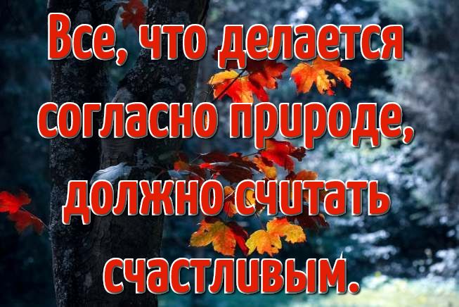Цитаты про природу красивые