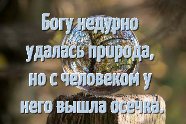 Цитаты про природу