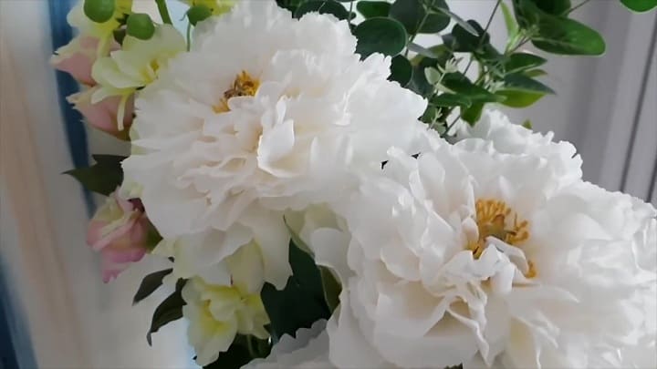 фото цветов