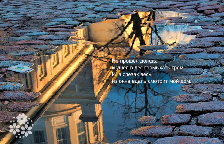 Красивые стихи про дождь и любовь