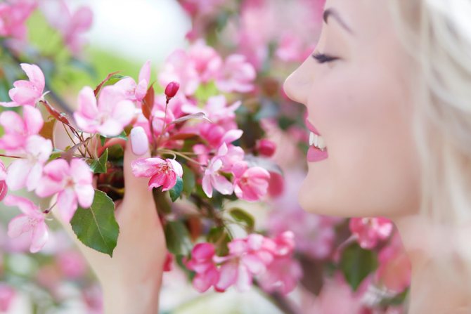 Лучшие статусы о весне