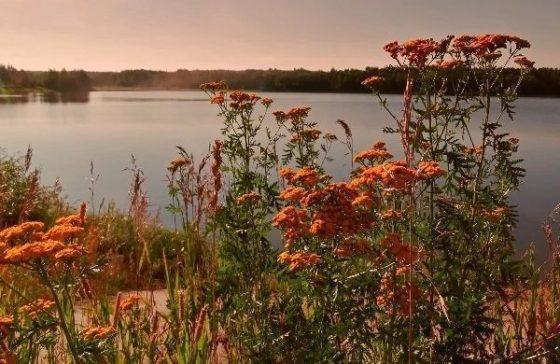 Последние дни лета