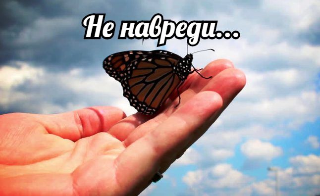 Притча с моралью помощь